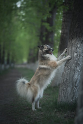 Similar image 21274088