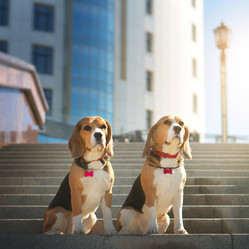 Similar image 21274114