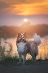 Similar image 21274115