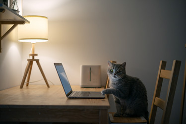 Similar image 21274116