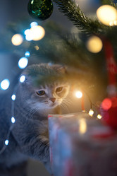 Similar image 21274370