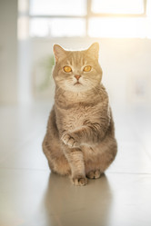 Similar image 21274371