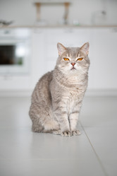 Similar image 21274372