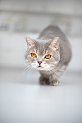 Similar image 21274374