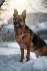 Similar image 21274375