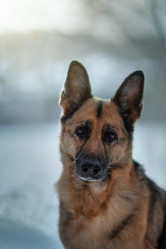 Similar image 21274377