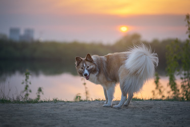 Similar image 21274378