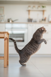 Similar image 21263693