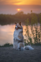 Similar image 21263695