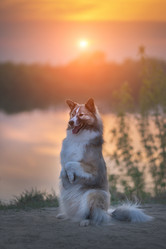 Similar image 21263696