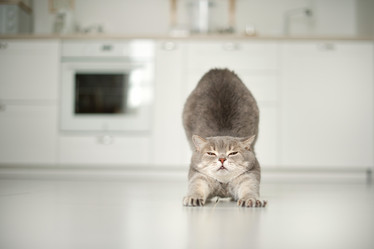 Similar image 21263697