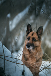 Similar image 21263699