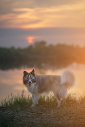 Similar image 21263700