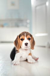 Similar image 21263703