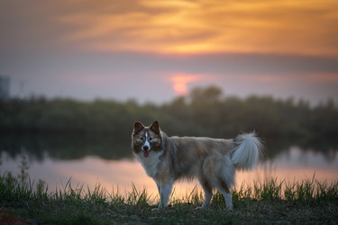 Similar image 21263705