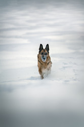 Similar image 21263707