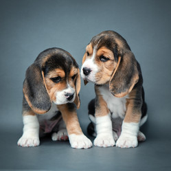 Similar image 21263711