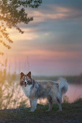 Similar image 21263713