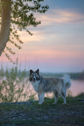 Similar image 21263715