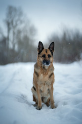 Similar image 21263717