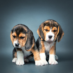 Similar image 21263719