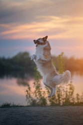 Similar image 21263721