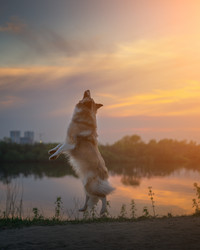 Similar image 21268935