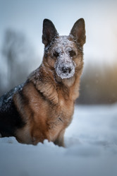 Similar image 21268939