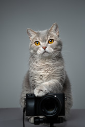 Similar image 21268957