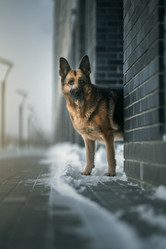 Similar image 21268976