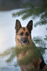 Similar image 21268978