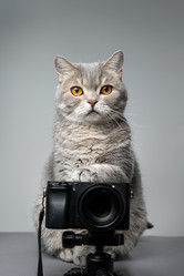 Similar image 21268979