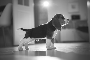 Similar image 21269871