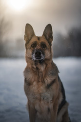 Similar image 21288773