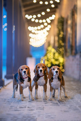 Similar image 21288774