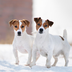 Similar image 21288775