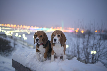 Similar image 21288776