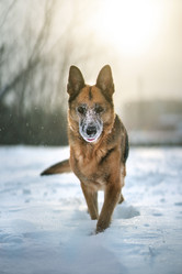 Similar image 21288777