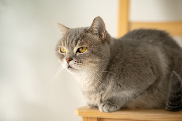 Similar image 21288778