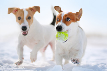 Similar image 21288779