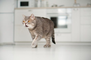 Similar image 21288783