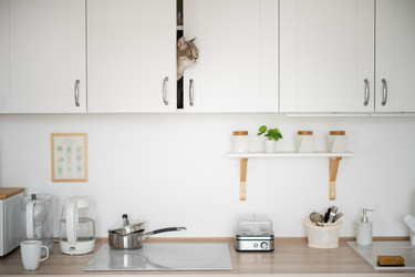 Similar image 21288788