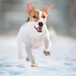 Similar image 21291487