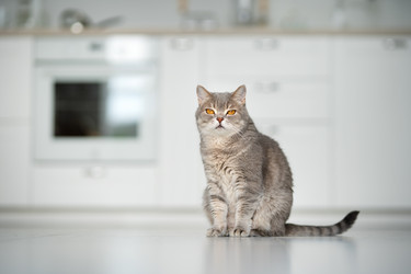 Similar image 21291488