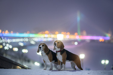 Similar image 21291492