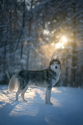 Similar image 21291494