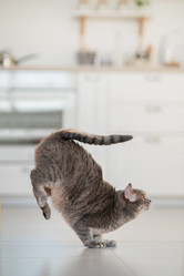 Similar image 21291495