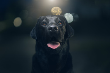 Similar image 21291496