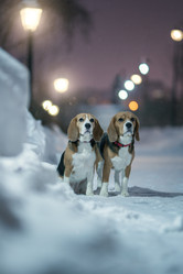 Similar image 21291498