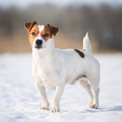 Similar image 21291499